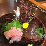 伊勢海老お造り(たなか寿司 )