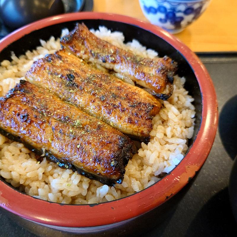 うな重(納凉亭 )