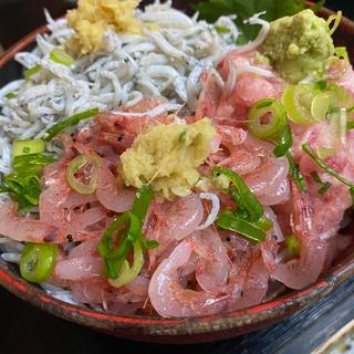 (ふみ野 )