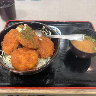 チキンカツ丼(フードコート中郷SA(下り))