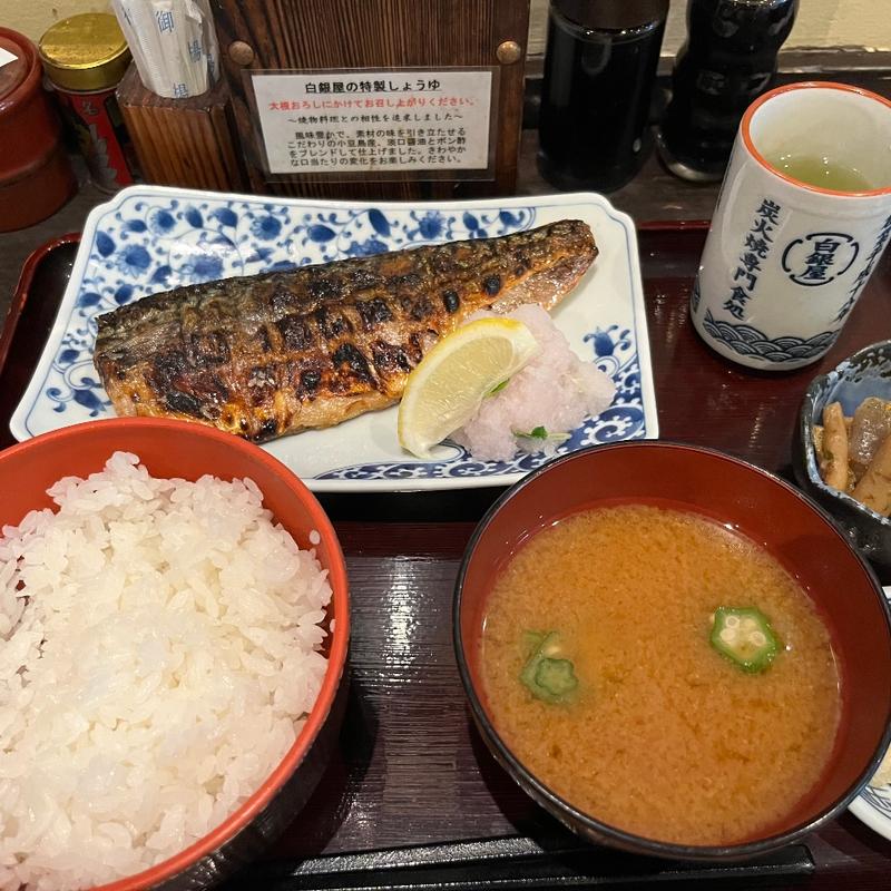 トロ鯖定食(炭火焼専門食処 白銀屋)