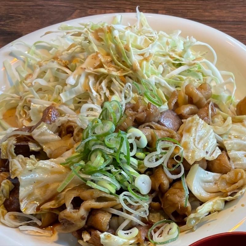 ミックスホルモン定食(鉄板焼き三ちゃん)