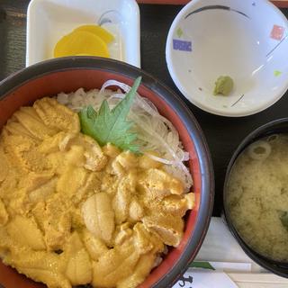 ウニ丼(お食事処 みさき)