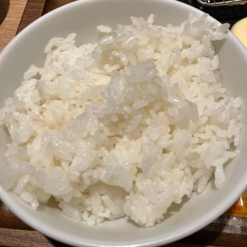 ライス(餃子とカレーザンギの店 点心札幌 大通本店)