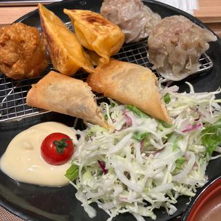 4種盛り定食(餃子とカレーザンギの店 点心札幌 大通本店)