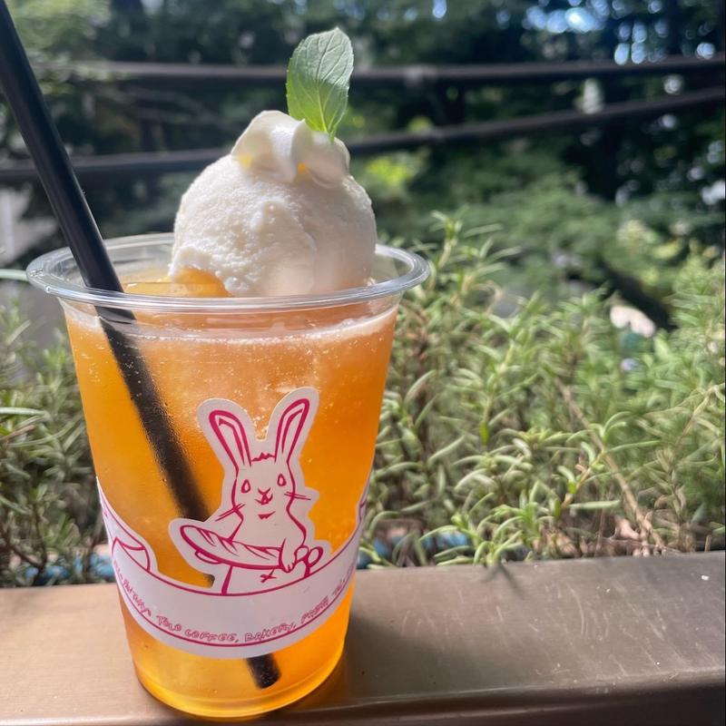 ピーチティーソーダ( TOLO COFFE&BAKERY(トロ コーヒーアンドベーカリー))