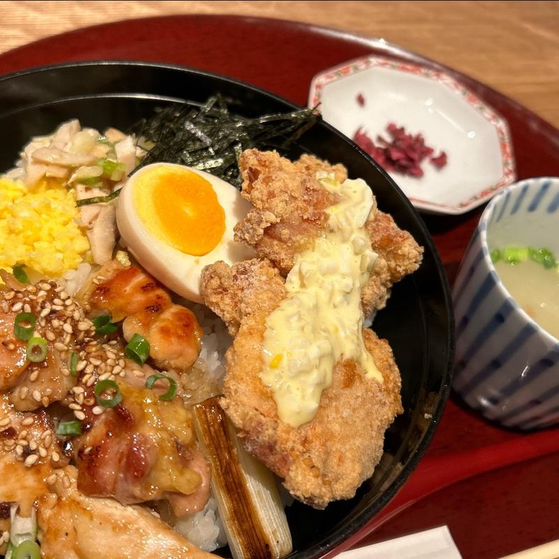 鶏五味(鶏五味 名古屋セントラルパーク店)