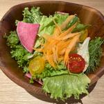 信州野菜のサラダ