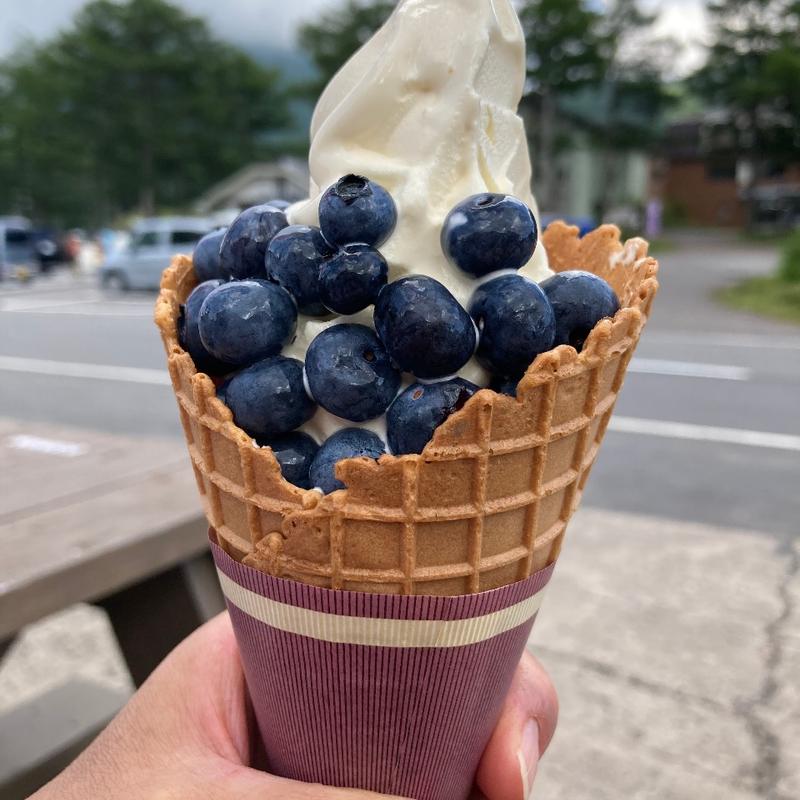 ブルーベリーとソフトクリーム50番(ロッジ花紋 )