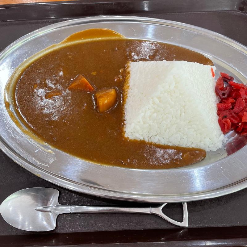 ピラミッドカレー(レストランムー （美川ムーバレー　山ほたる）)