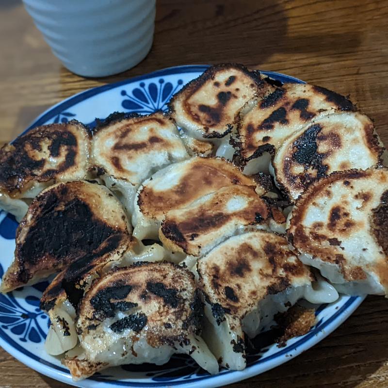 餃子(ナカムラボ)