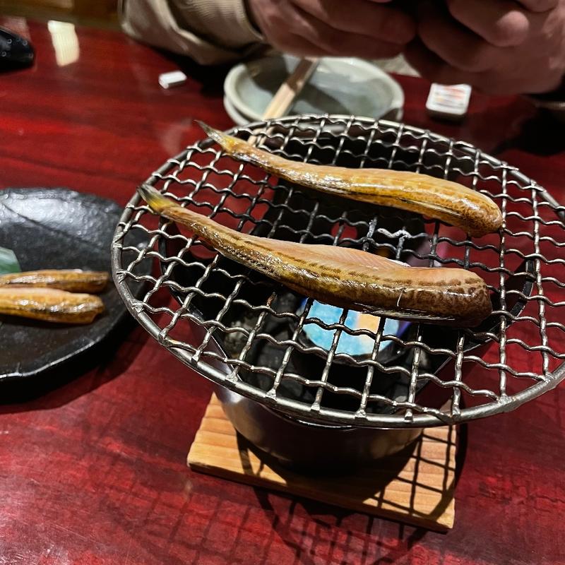 (産直さばと青魚 伏見あおい)