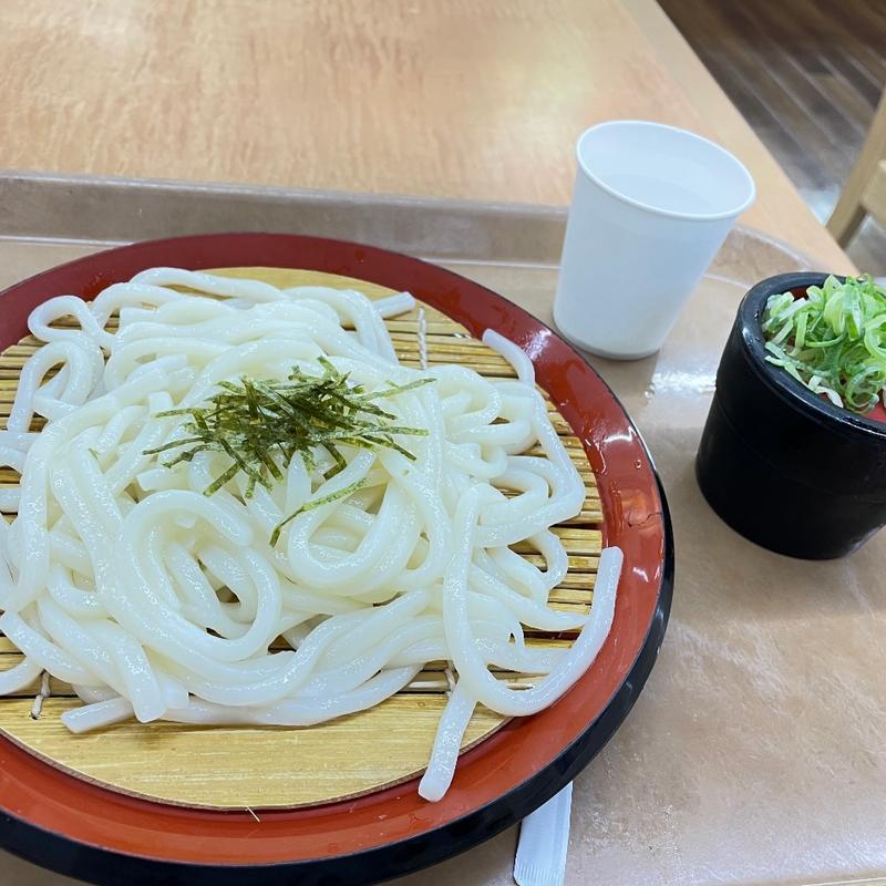 ざるうどん(三木サービスエリア（上り線）スナックコーナー )