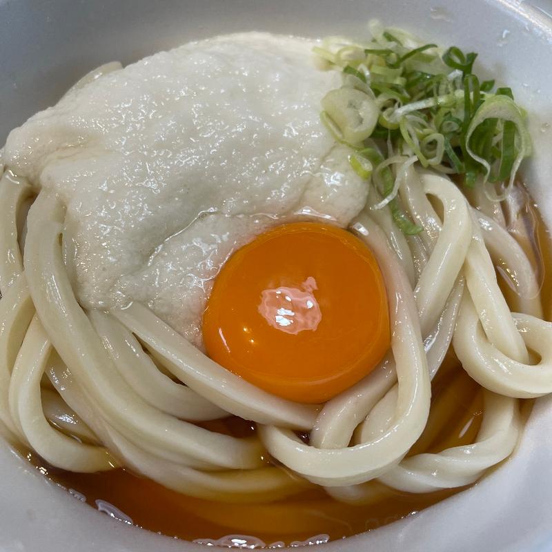 とろろ月見ぶっかけ(讃岐うどん 一か〇)