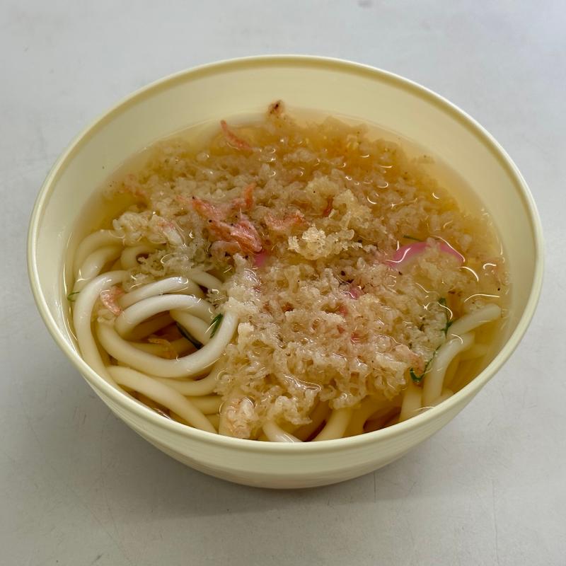 天ぷらうどん(ドライブイン ダルマ )