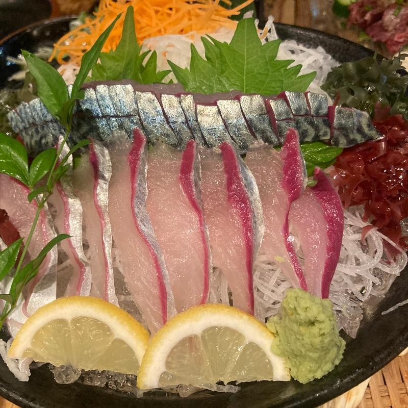 生鯖半身刺身(九州 熱中屋 新橋 LIVE)