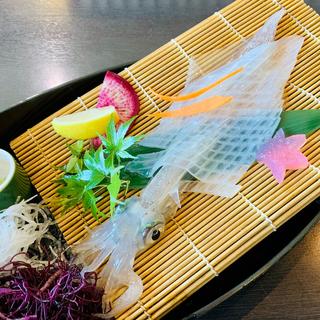 いかの活きづくり(河太郎 呼子店 (かわたろう))