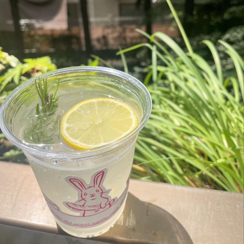 ハーブレモンソーダ( TOLO COFFE&BAKERY(トロ コーヒーアンドベーカリー))