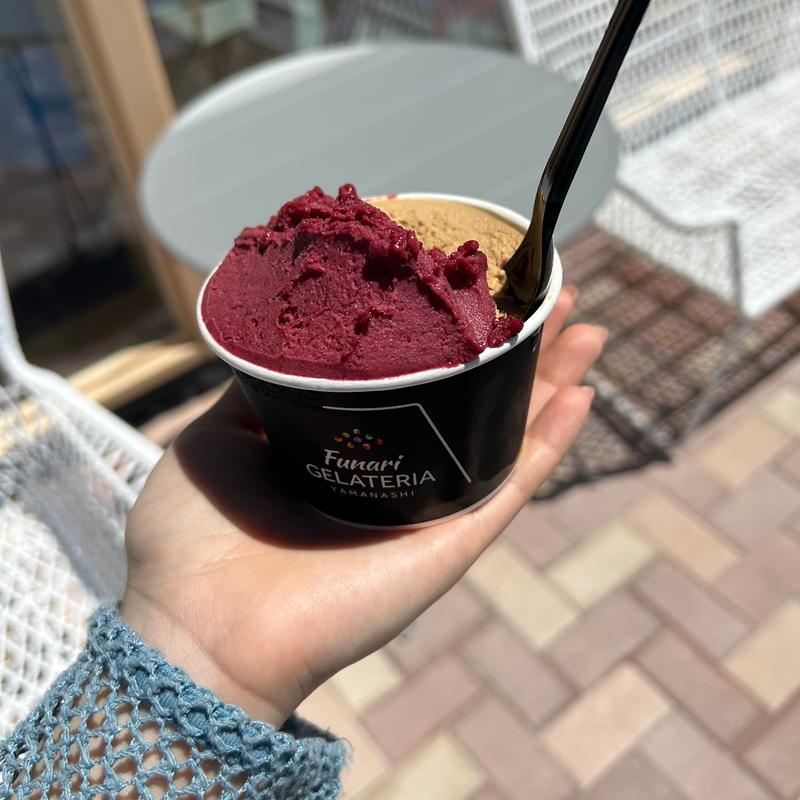 ブルーベリーとくるみ&ナッツ(コーヒー)(Funari GELATERIA)