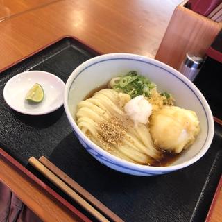 ぶっかけうどん＋半熟卵の天ぷら(手打うどん 寺屋)
