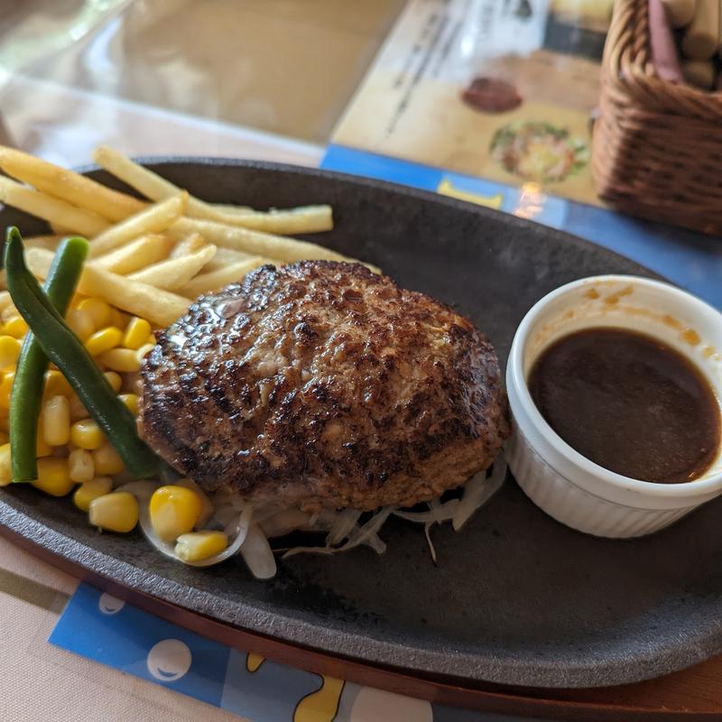鉄板ハンバーグステーキ(The Campfire Grill & Cafe (Dog Cafe) Bar Minakami)
