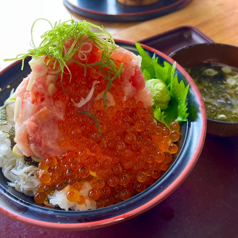 漁師の富士盛り丼(沼津港　漁師めし食堂)
