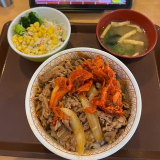 キムチ牛丼サラダセット(すき家 八潮西袋店)