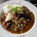 牛筋カレー