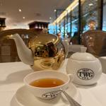 T6033 1837 Black tea