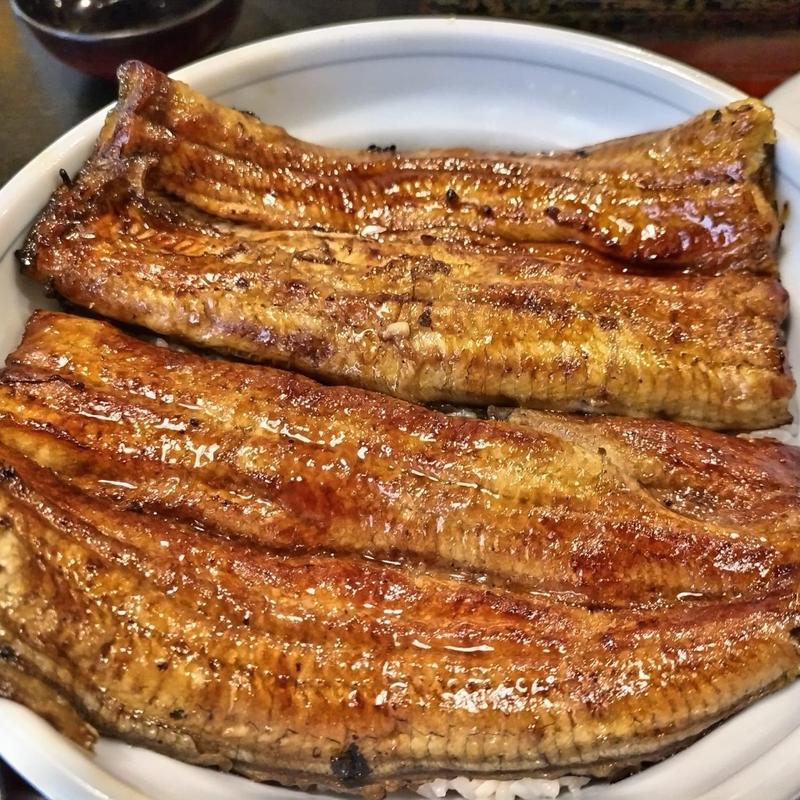 花月(鰻丼)(うなぎ川菊)