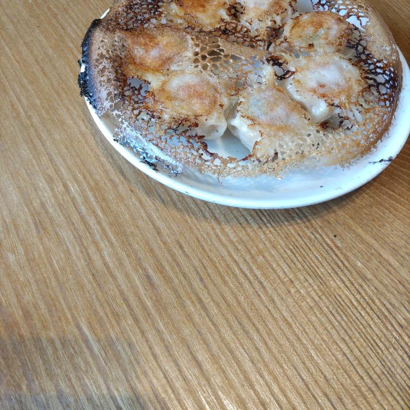 大連焼餃子(大連餃子基地ダリアン 中華街店)