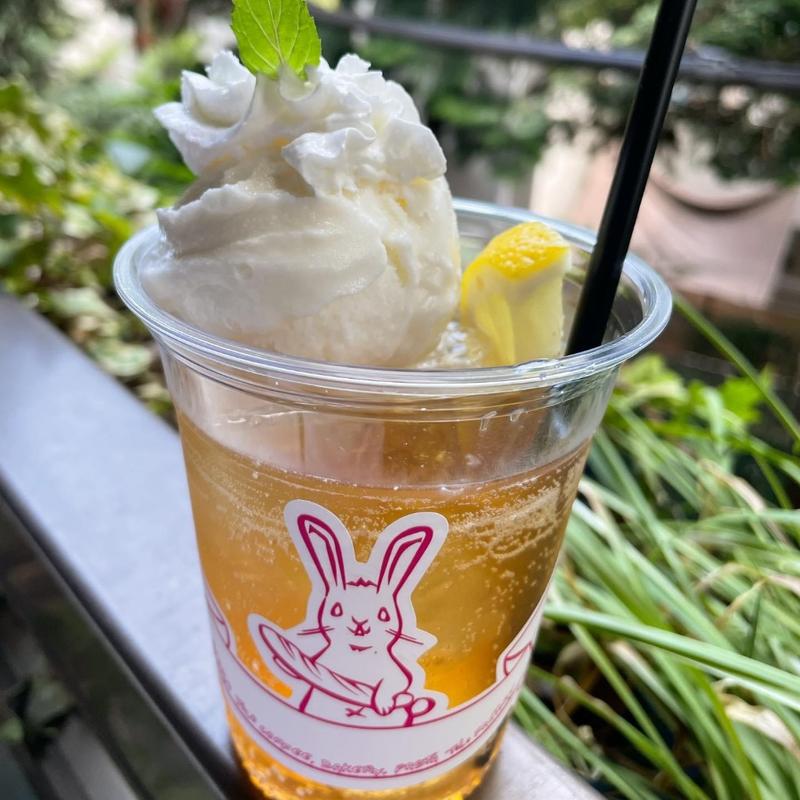 ピーチティーソーダ ヨーグルトアイス( TOLO COFFE&BAKERY(トロ コーヒーアンドベーカリー))