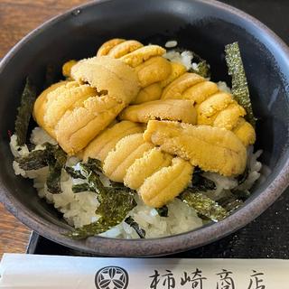 白折丼(柿崎商店 海鮮工房)