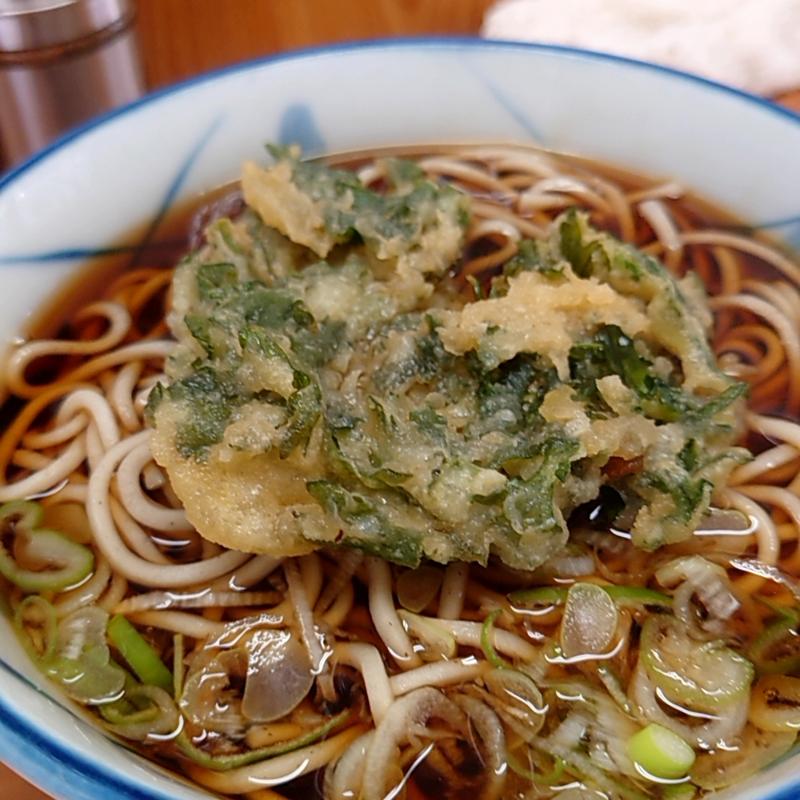 春菊(うさぎや)