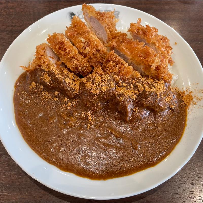 手仕込みヒレカツカレー15辛(CoCo壱番屋 吉川高富店)