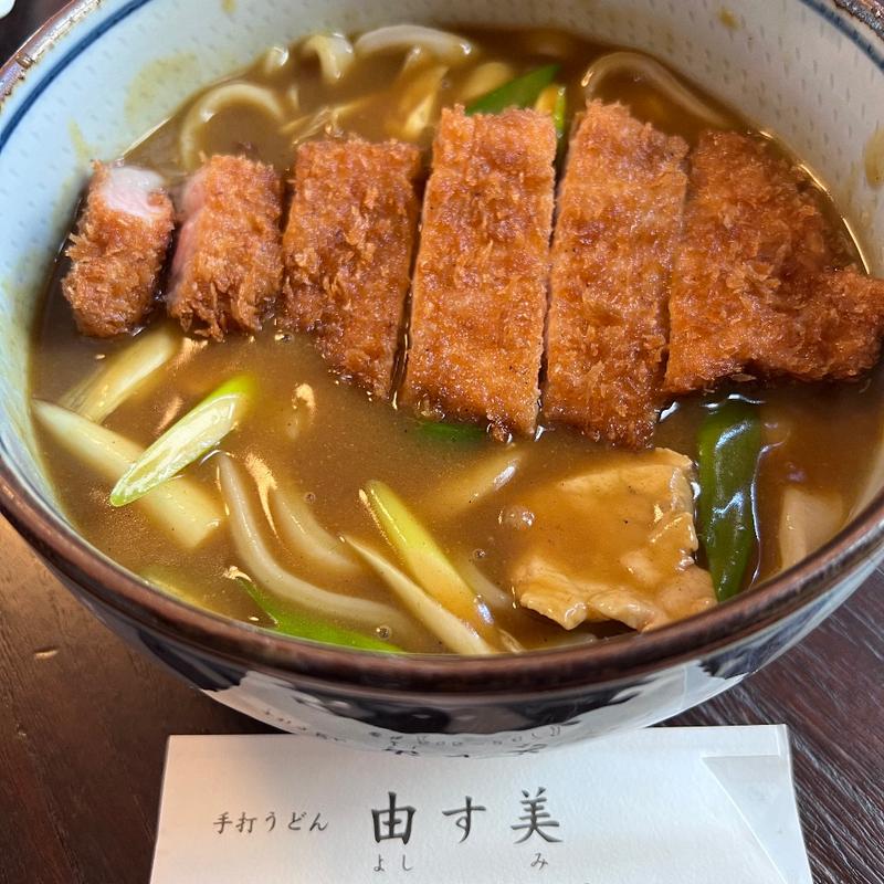 カツカレーうどん(由す美)
