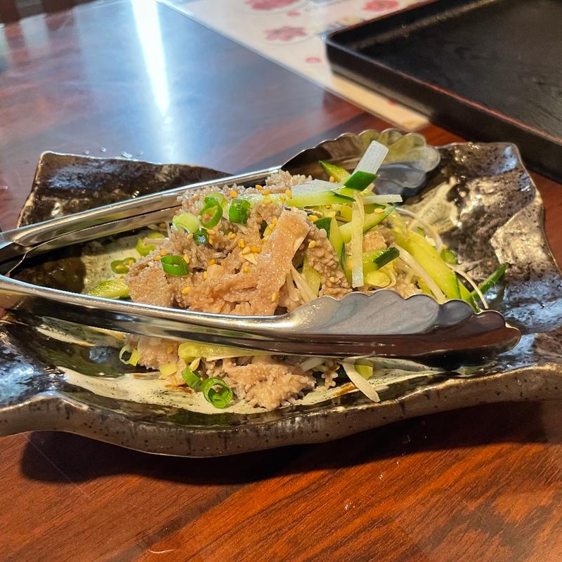 生センマイ(松の木)