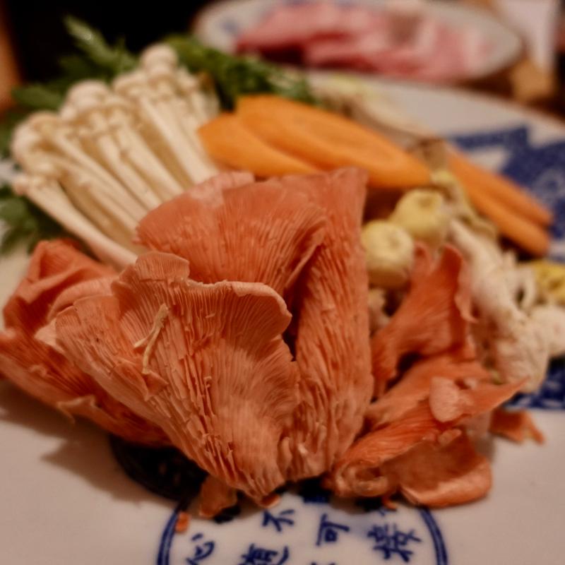 松茸、高原トキイロヒラタケ(仙石原温泉 センチュリオン箱根別邸)