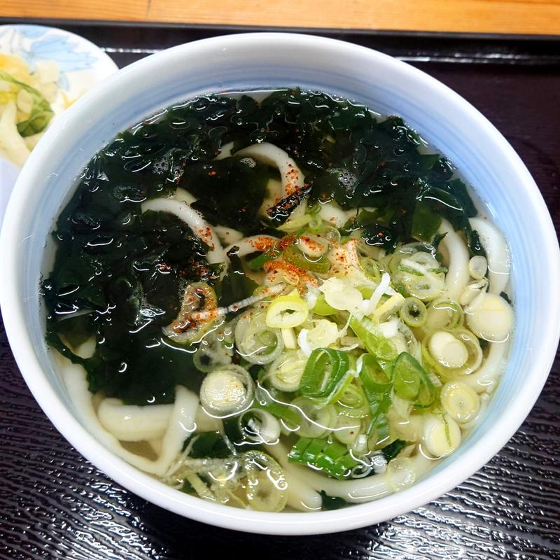 わかめうどん(手打ちの味小泉 豊前店)