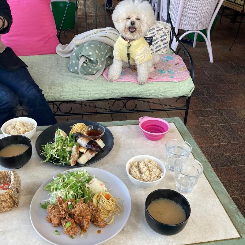 (ブリットボウル)