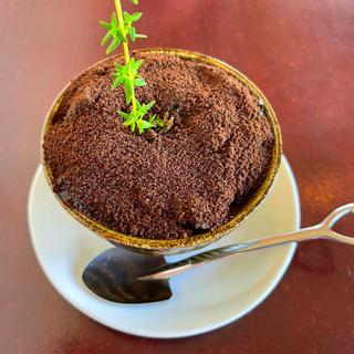 植木鉢パフェ(cafe rail （カフェ レイル）)