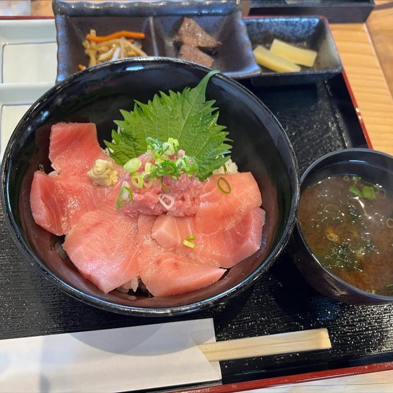 本まぐろ中トロ丼(伊勢志摩まぐろ食堂)