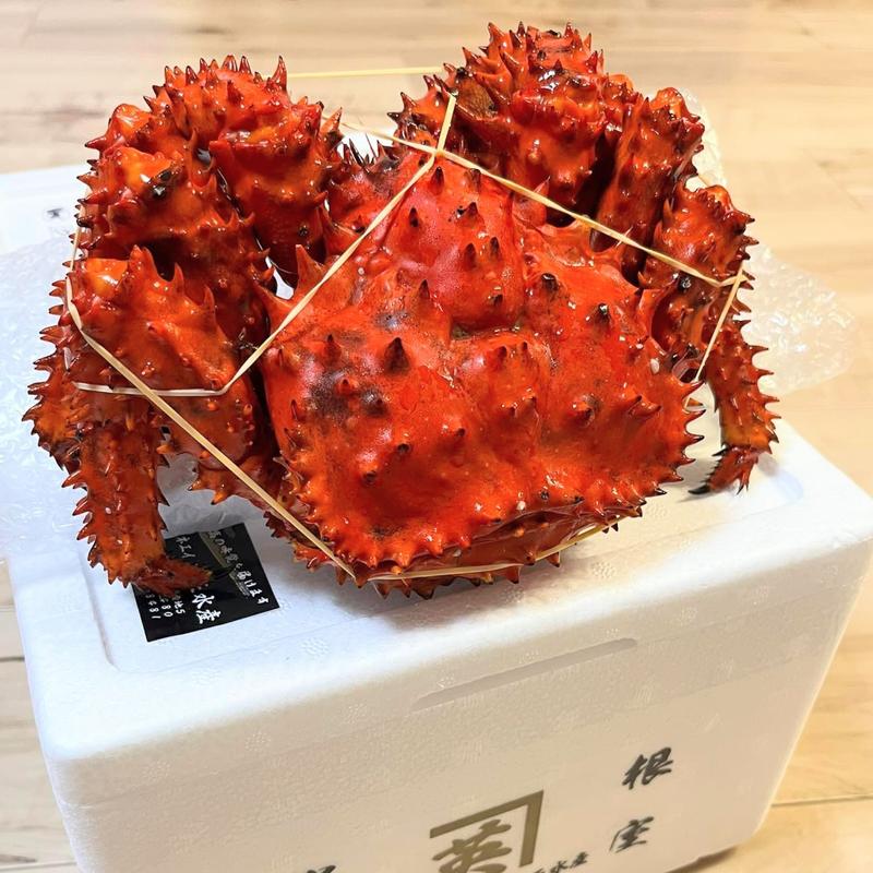 花咲蟹(㈱カネエイ英正水産)