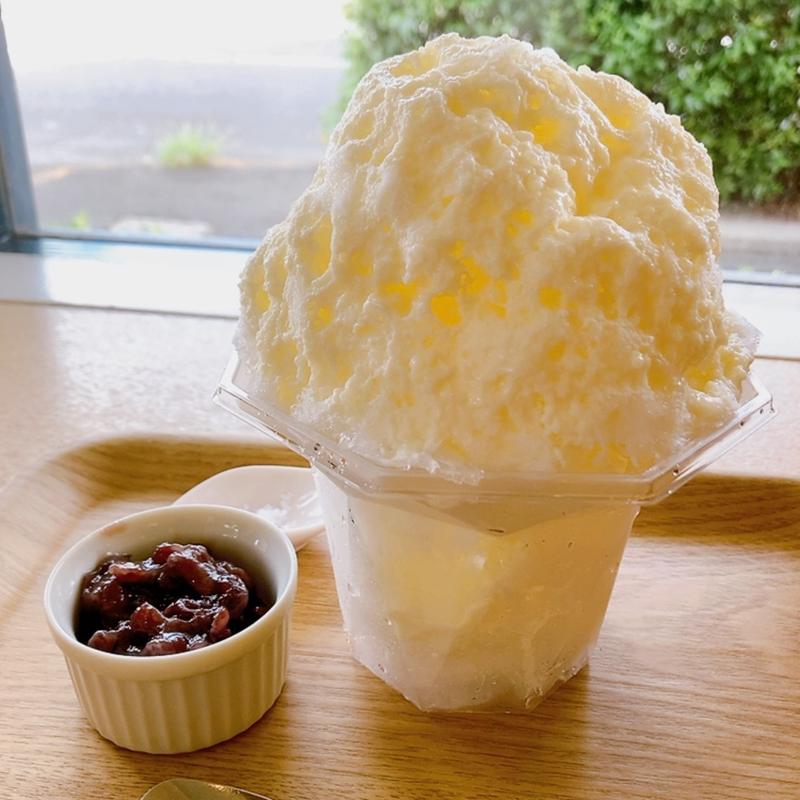 酒粕ミルク(旬月神楽白島工房)