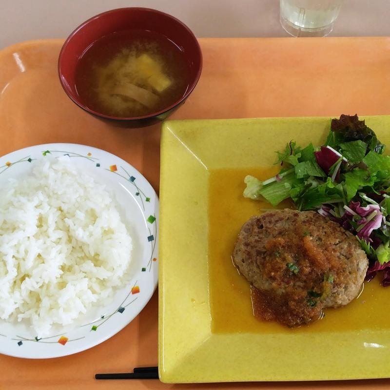 ハンバーグ定食(802A TERRACE)