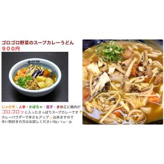ゴロゴロ野菜のスープカレーうどん(はがくれ ラグザ店 )