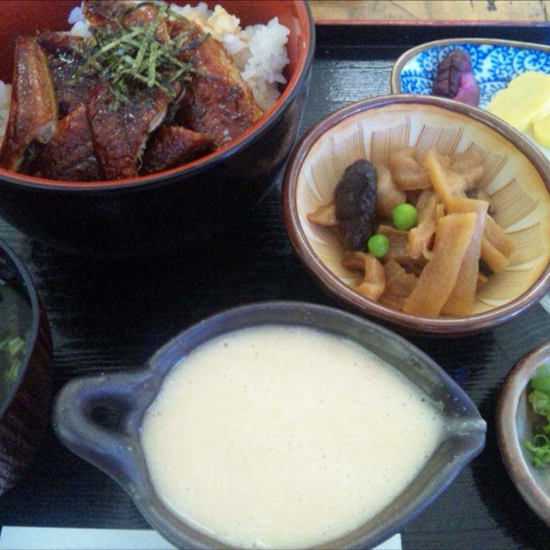 鰻とろろ定食(竜ヶ岩洞食堂ふるさと )