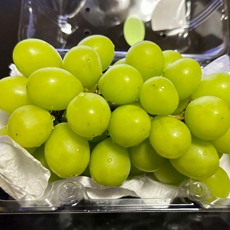 シャインマスカット(ベルクス 東墨田店)