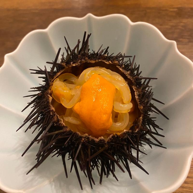 (鶫 （ツグミ）)