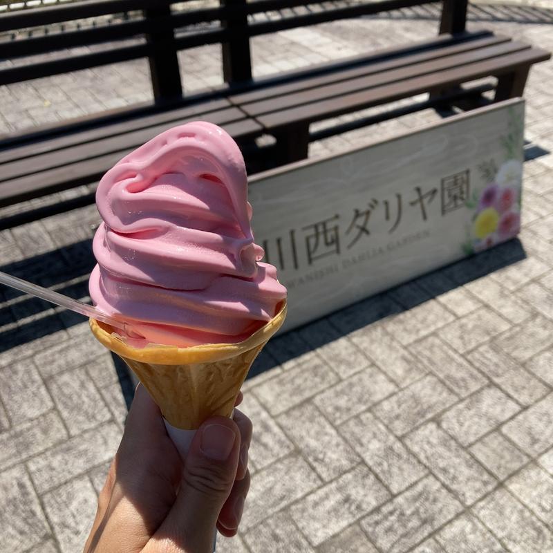 ダリヤソフトクリーム(川西ダリヤ園 )